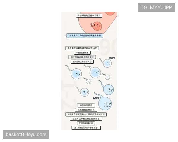 维尼修斯与莱奥爆点能力差异：突破机制与比赛影响力对比分析